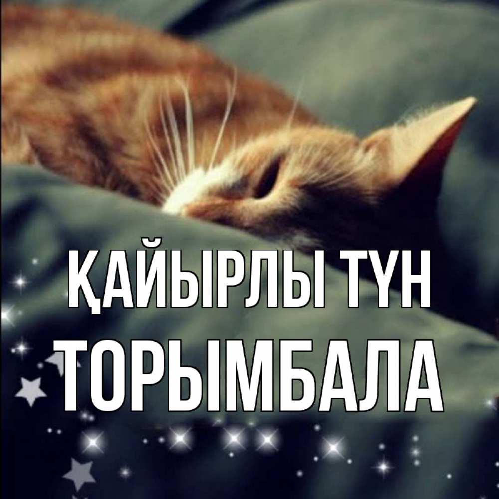 Күн сайын ашық хат с именем, ТОРЫМБАЛА Қайырлы түн кроватка Онлайн тегін жүктеп алу тілектері бар керемет карта 