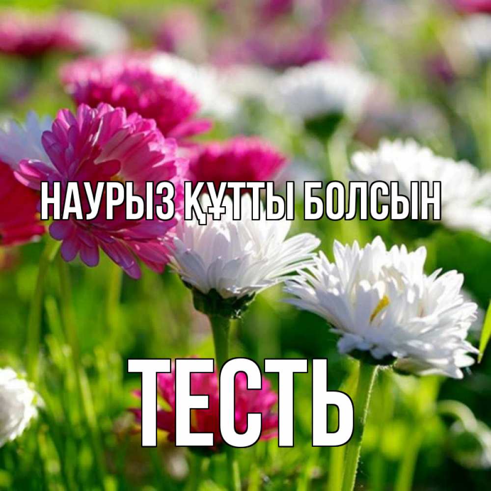 Күн сайын ашық хат с именем, Тесть Наурыз құтты болсын наурыз Онлайн тегін жүктеп алу тілектері бар керемет карта 