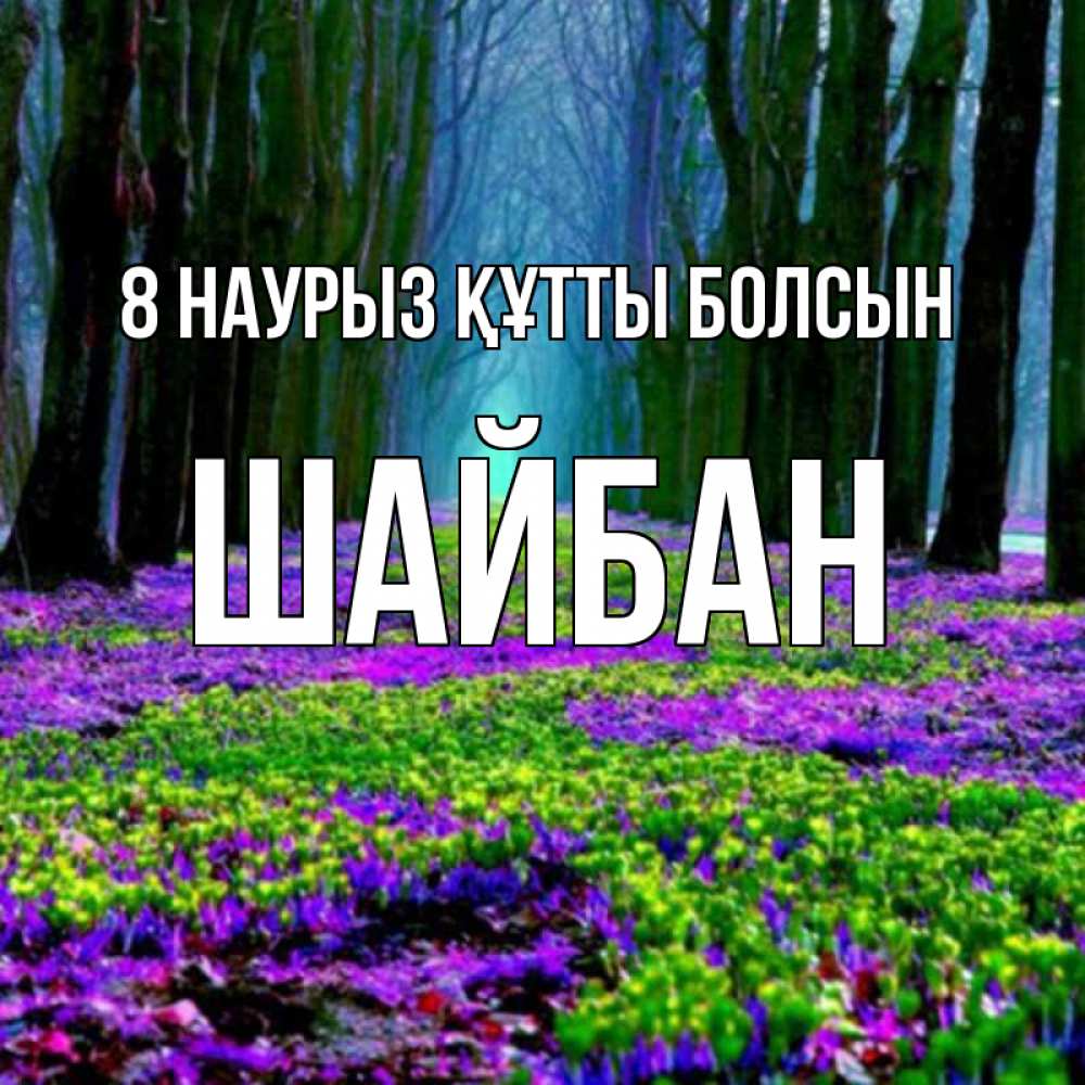 Күн сайын ашық хат с именем, ШАЙБАН 8 наурыз құтты болсын фиолетовые цветы в лесу 1 Онлайн тегін жүктеп алу тілектері бар керемет карта 