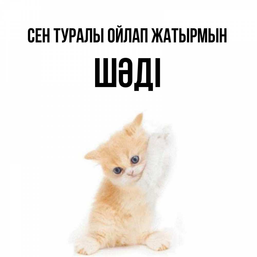 Күн сайын ашық хат с именем, ШӘДІ Сен туралы ойлап жатырмын зверушки и милота Онлайн тегін жүктеп алу тілектері бар керемет карта 