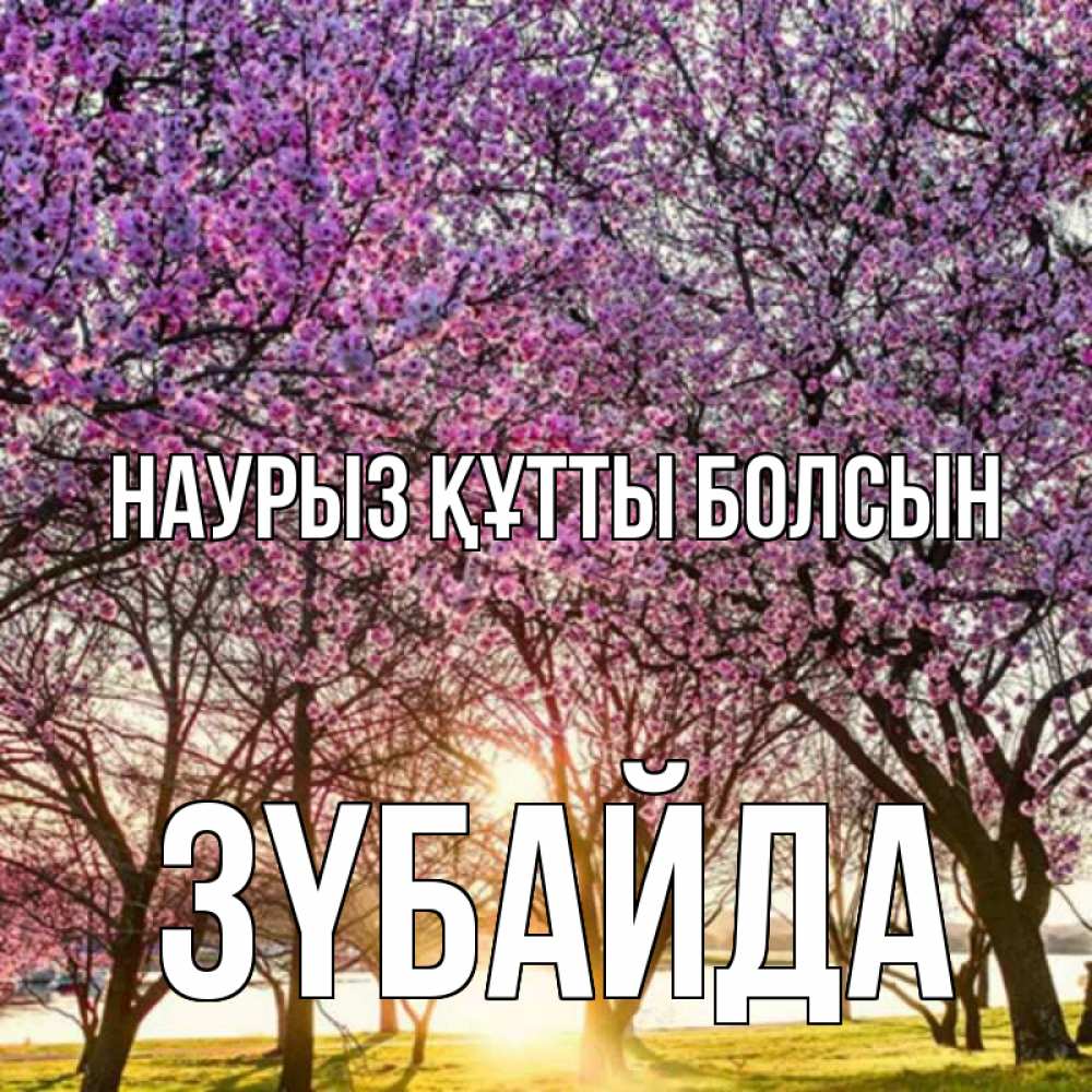 Күн сайын ашық хат с именем, ЗҮБАЙДА Наурыз құтты болсын наурыз Онлайн тегін жүктеп алу тілектері бар керемет карта 