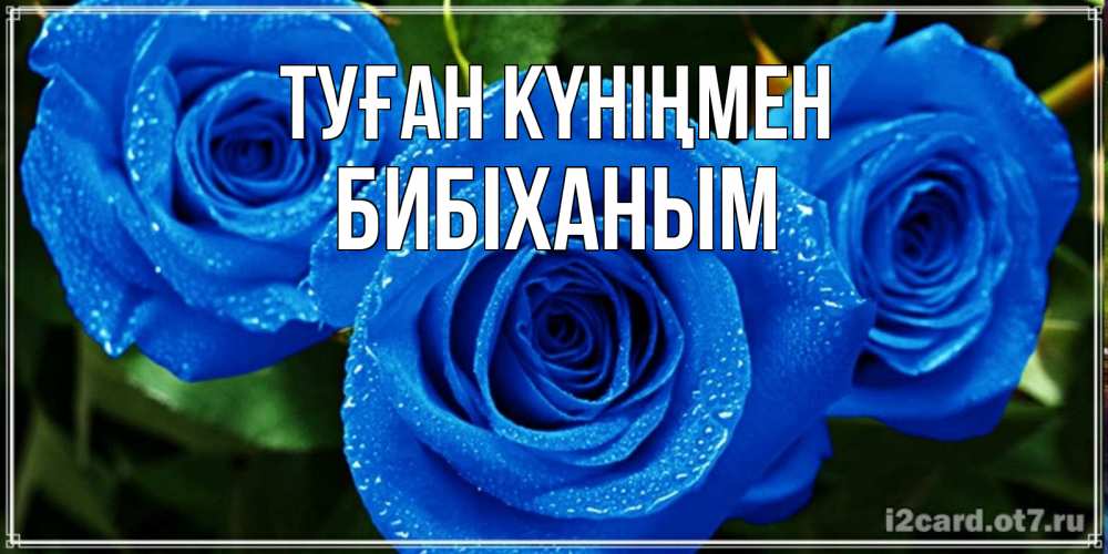 Күн сайын ашық хат с именем, БИБІХАНЫМ Туған күніңмен розы с синим цветом Онлайн тегін жүктеп алу тілектері бар керемет карта 