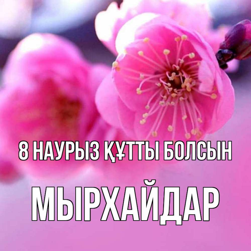 Күн сайын ашық хат с именем, МЫРХАЙДАР 8 наурыз құтты болсын международный женский день Онлайн тегін жүктеп алу тілектері бар керемет карта 