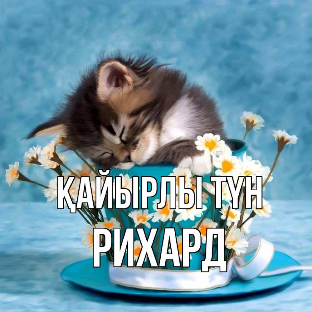 Күн сайын ашық хат с именем, Рихард Қайырлы түн котенок спит в кружке с блюдцем Онлайн тегін жүктеп алу тілектері бар керемет карта 