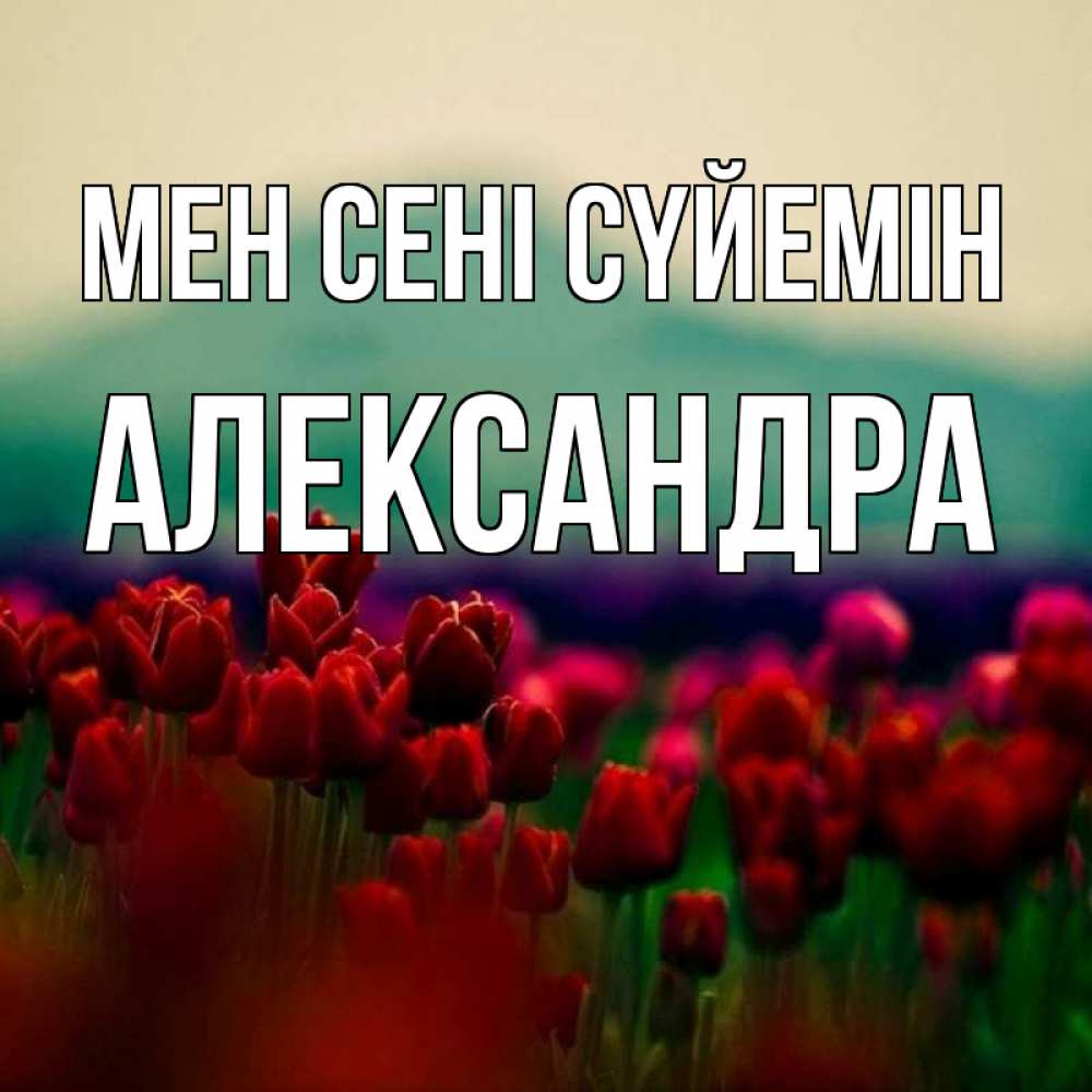 Күн сайын ашық хат с именем, Александра Мен сені сүйемін тюльпаны 4 Онлайн тегін жүктеп алу тілектері бар керемет карта 