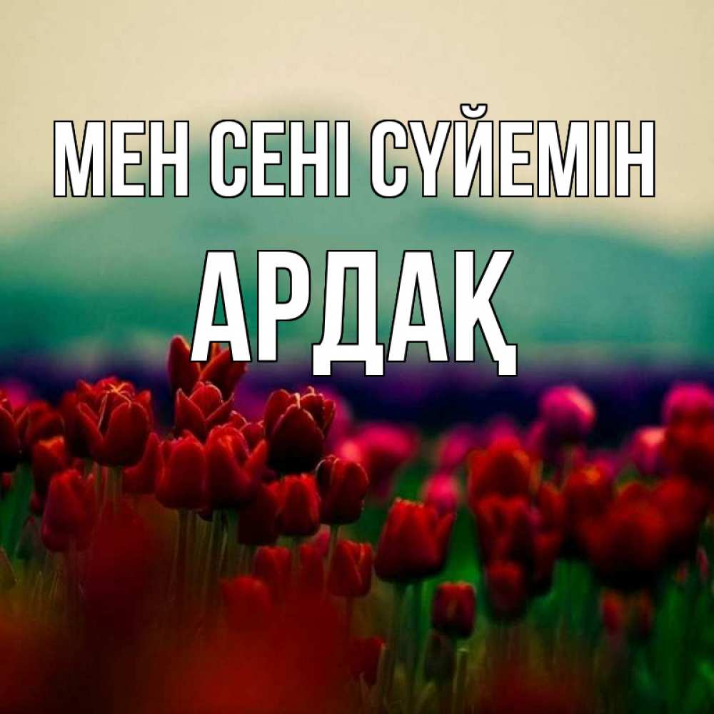 Күн сайын ашық хат с именем, Ардақ Мен сені сүйемін тюльпаны 4 Онлайн тегін жүктеп алу тілектері бар керемет карта 