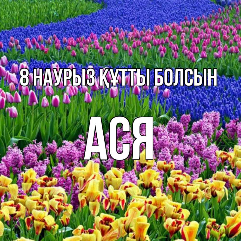 Күн сайын ашық хат с именем, Ася 8 наурыз құтты болсын цветы Онлайн тегін жүктеп алу тілектері бар керемет карта 