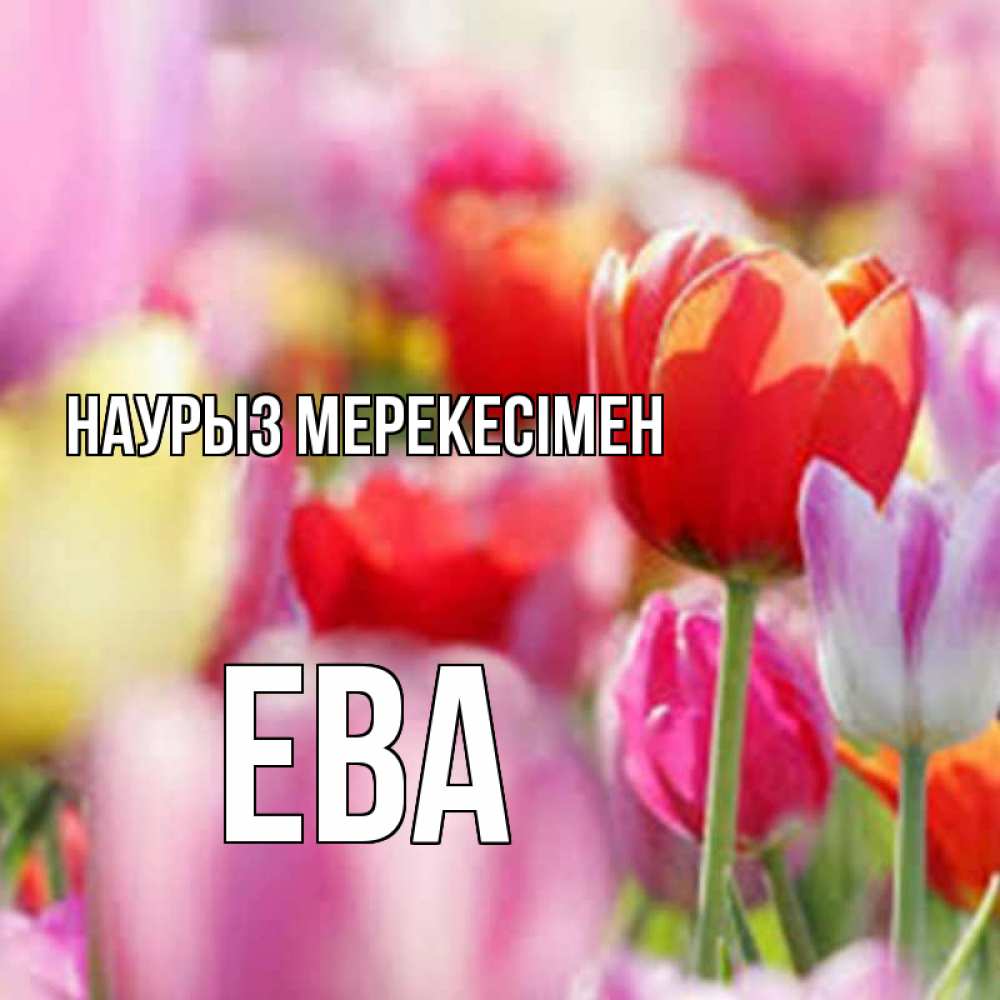 Күн сайын ашық хат с именем, Ева Наурыз мерекесімен праздник весны наурыз 67 Онлайн тегін жүктеп алу тілектері бар керемет карта 