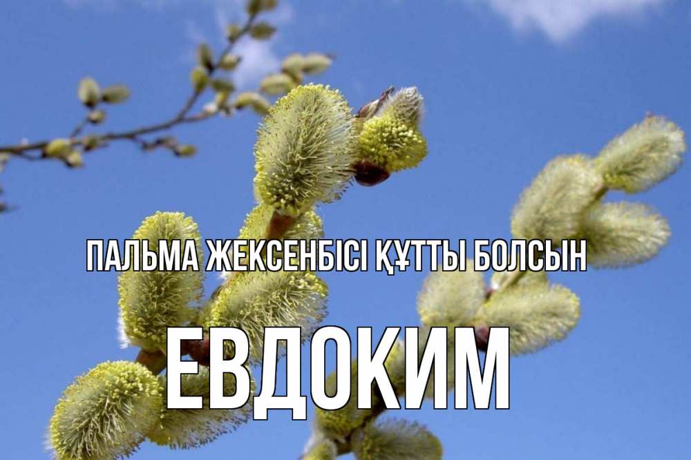Күн сайын ашық хат с именем, Евдоким Пальма жексенбісі құтты болсын верба Онлайн тегін жүктеп алу тілектері бар керемет карта 