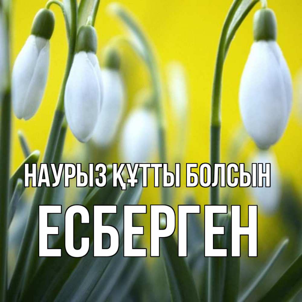 Күн сайын ашық хат с именем, Есберген Наурыз құтты болсын весенние цветы Онлайн тегін жүктеп алу тілектері бар керемет карта 