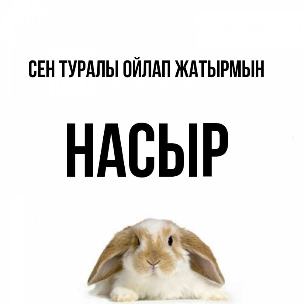Күн сайын ашық хат с именем, НАСЫР Сен туралы ойлап жатырмын подписать своими руками онлайн Онлайн тегін жүктеп алу тілектері бар керемет карта 