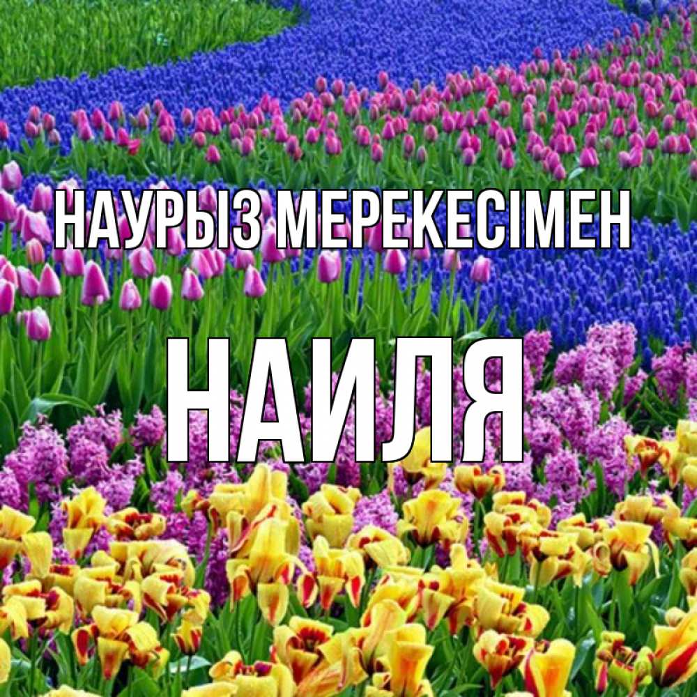 Күн сайын ашық хат с именем, Наиля Наурыз мерекесімен цветы Онлайн тегін жүктеп алу тілектері бар керемет карта 
