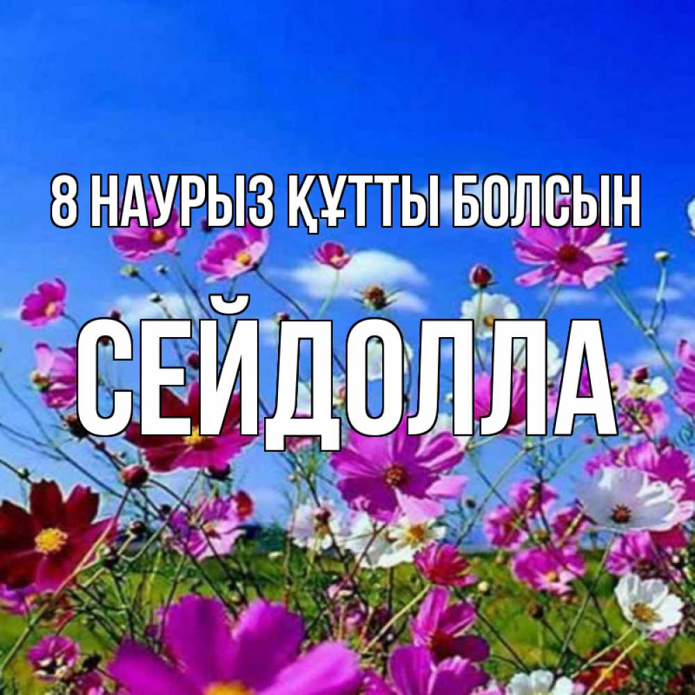 Күн сайын ашық хат с именем, СЕЙДОЛЛА 8 наурыз құтты болсын цветы Онлайн тегін жүктеп алу тілектері бар керемет карта 