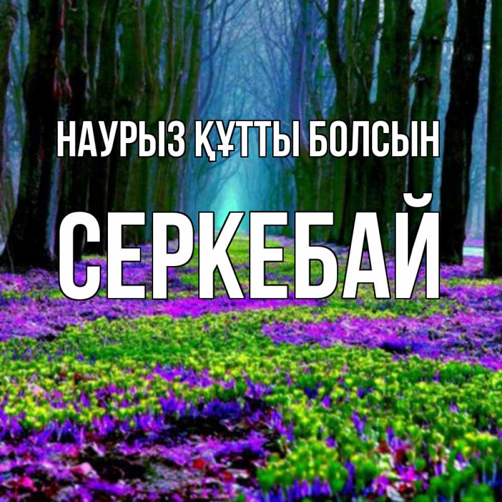 Күн сайын ашық хат с именем, СЕРКЕБАЙ Наурыз құтты болсын фиолетовые цветы в лесу 1 Онлайн тегін жүктеп алу тілектері бар керемет карта 