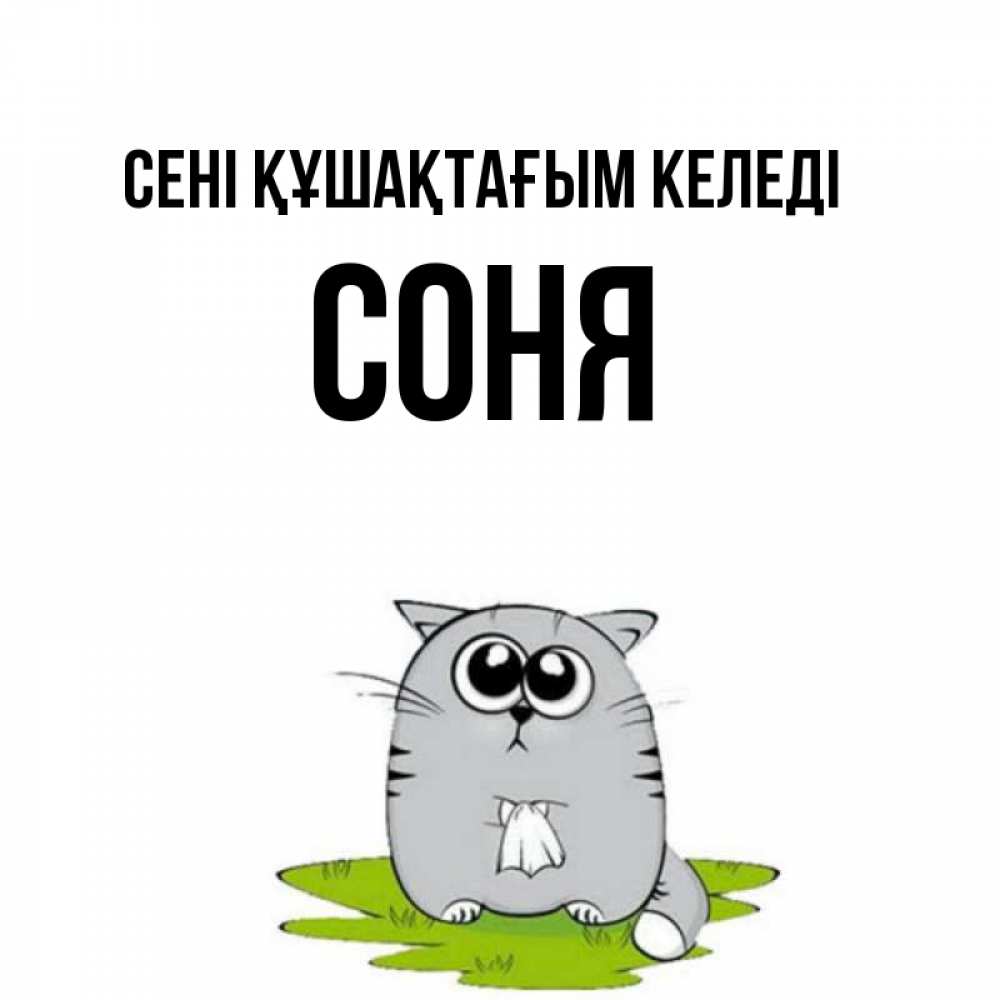 Күн сайын ашық хат с именем, Соня сені құшақтағым келеді котик теребит платочек сидя на травке Онлайн тегін жүктеп алу тілектері бар керемет карта 