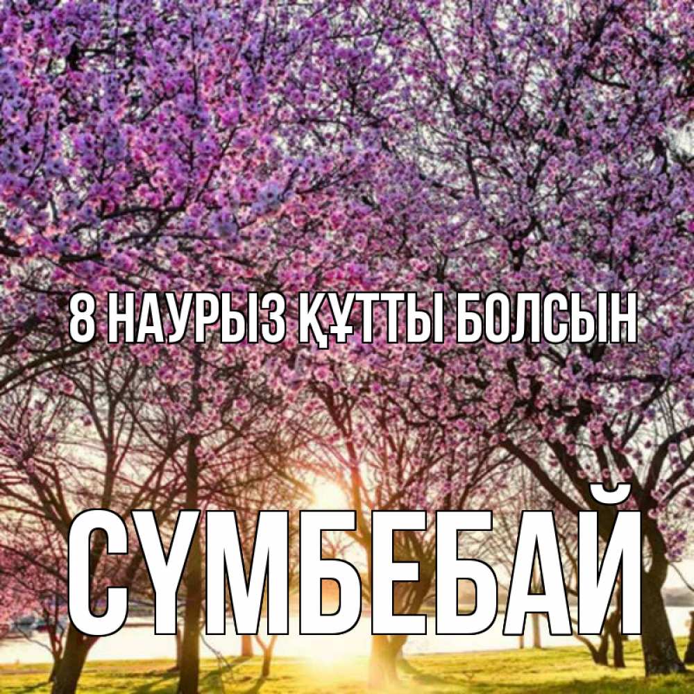 Күн сайын ашық хат с именем, СҮМБЕБАЙ 8 наурыз құтты болсын международный женский день Онлайн тегін жүктеп алу тілектері бар керемет карта 