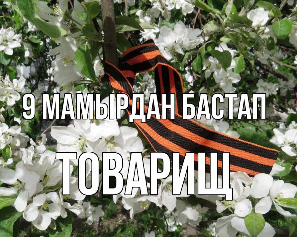 Күн сайын ашық хат с именем, Товарищ 9 мамырдан бастап 9 мая Онлайн тегін жүктеп алу тілектері бар керемет карта 
