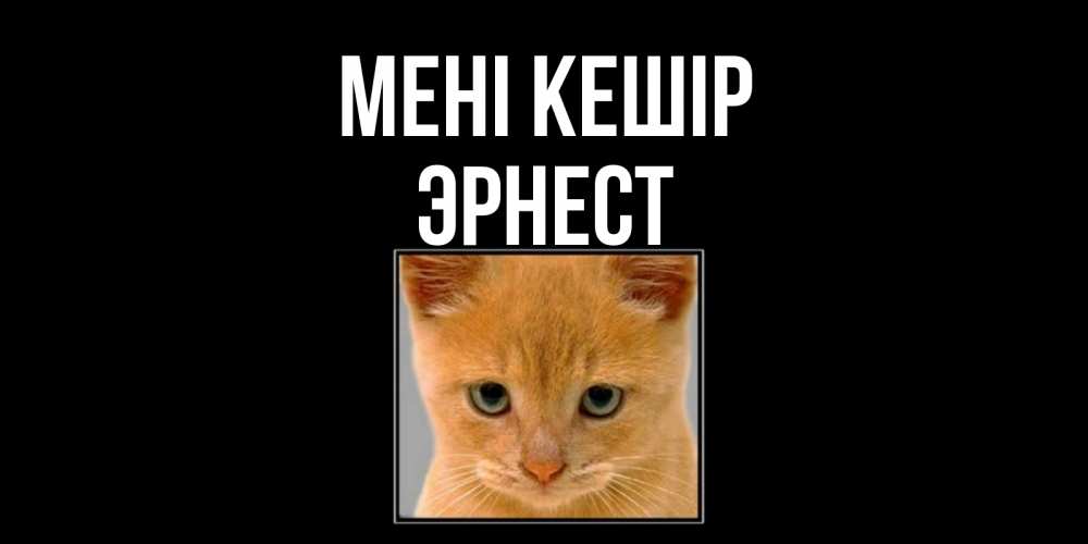 Күн сайын ашық хат с именем, Эрнест Мені кешір рыжий грустный кот просит прощения Онлайн тегін жүктеп алу тілектері бар керемет карта 