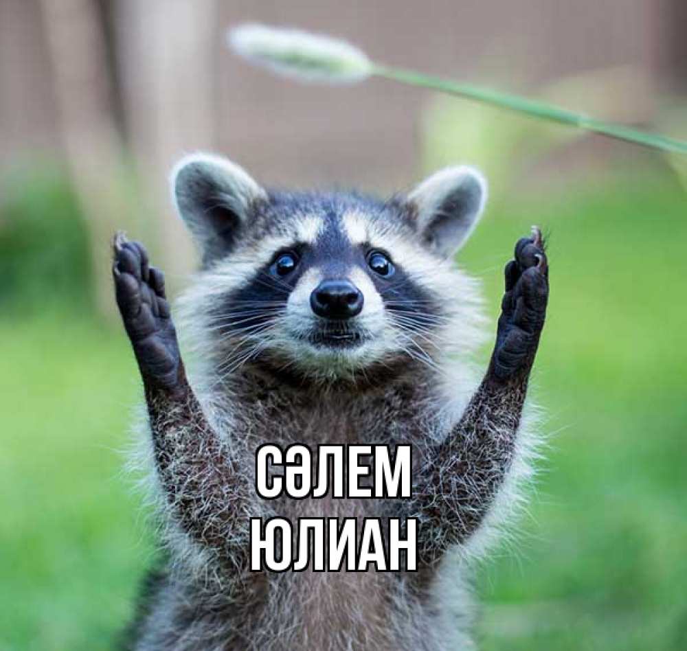 Күн сайын ашық хат с именем, Юлиан Сәлем животные Онлайн тегін жүктеп алу тілектері бар керемет карта 