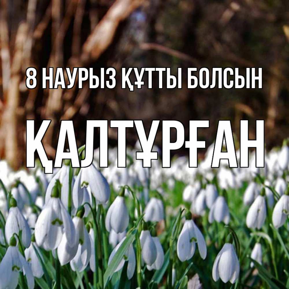 Күн сайын ашық хат с именем, ҚАЛТҰРҒАН 8 наурыз құтты болсын с подснежниками 1 Онлайн тегін жүктеп алу тілектері бар керемет карта 