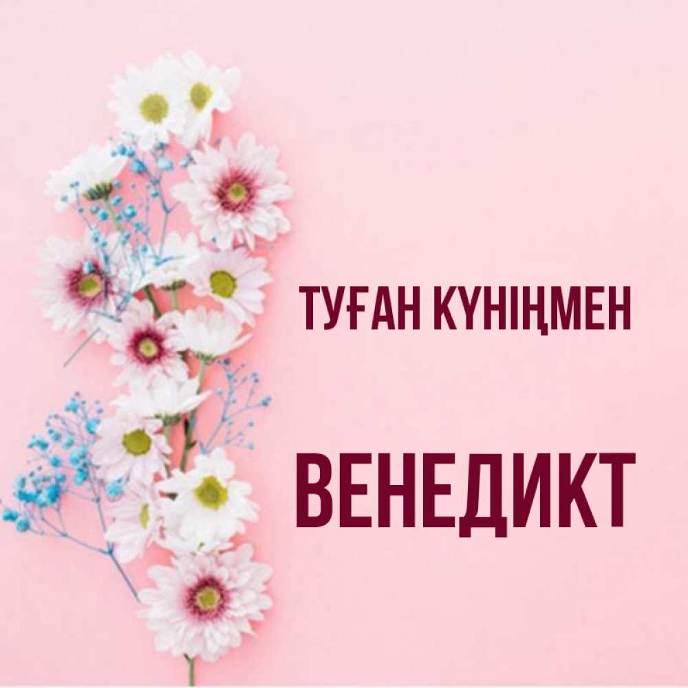 Күн сайын ашық хат с именем, Венедикт Туған күніңмен Родная моя с днем рождения тебя картинка с цветами белыми и голубыми Онлайн тегін жүктеп алу тілектері бар керемет карта 