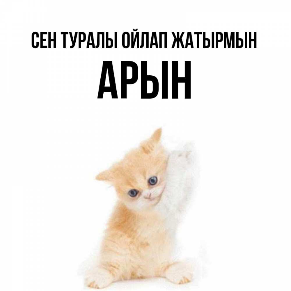 Күн сайын ашық хат с именем, Арын Сен туралы ойлап жатырмын зверушки и милота Онлайн тегін жүктеп алу тілектері бар керемет карта 