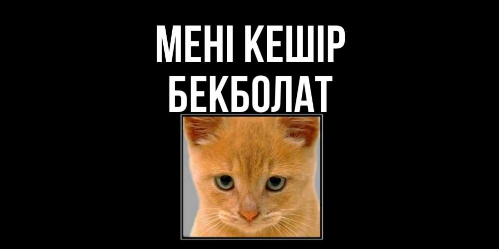 Күн сайын ашық хат с именем, Бекболат Мені кешір рыжий грустный кот просит прощения Онлайн тегін жүктеп алу тілектері бар керемет карта 