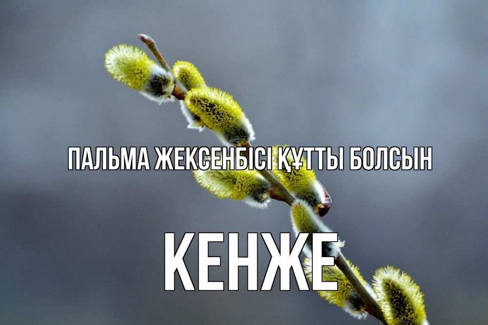 Күн сайын ашық хат с именем, Кенже Пальма жексенбісі құтты болсын верба Онлайн тегін жүктеп алу тілектері бар керемет карта 
