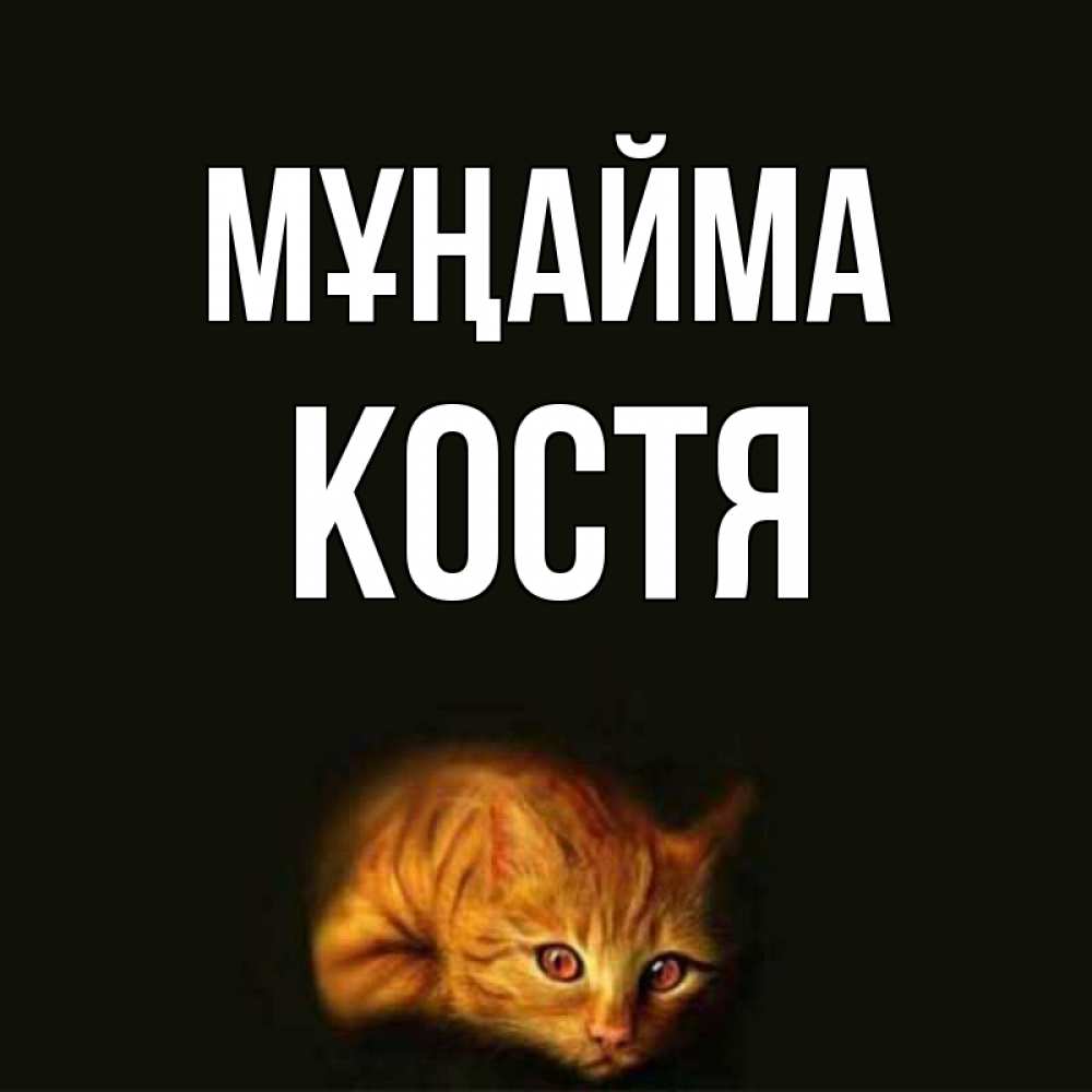 Күн сайын ашық хат с именем, Костя Мұңайма лежащий кот в темноте Онлайн тегін жүктеп алу тілектері бар керемет карта 