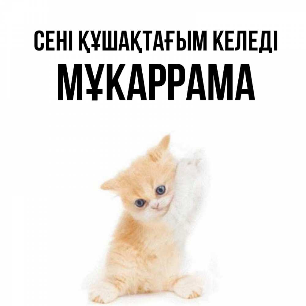 Күн сайын ашық хат с именем, МҰКАРРАМА сені құшақтағым келеді я хочу очень скорее обнимаешек Онлайн тегін жүктеп алу тілектері бар керемет карта 