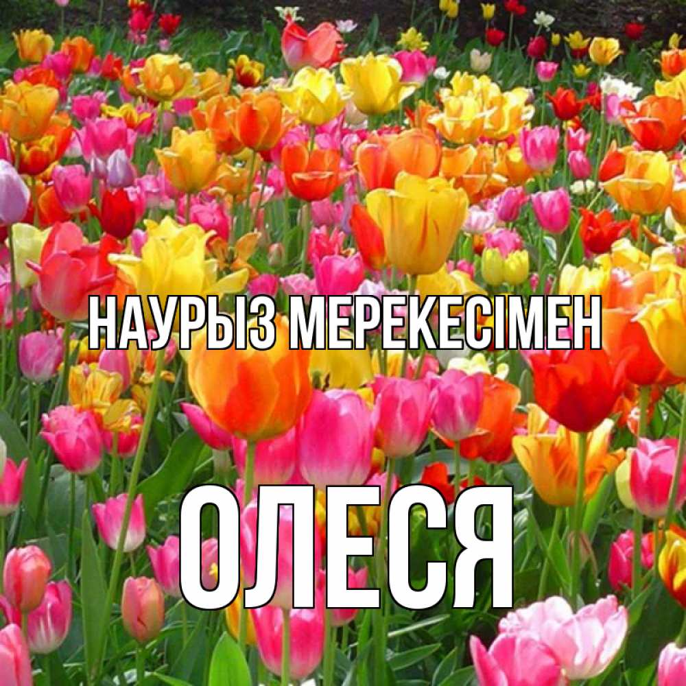 Күн сайын ашық хат с именем, Олеся Наурыз мерекесімен праздник весны наурыз 4 Онлайн тегін жүктеп алу тілектері бар керемет карта 