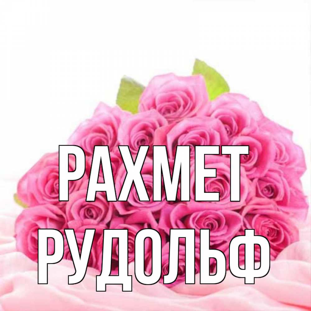 Күн сайын ашық хат с именем, Рудольф рахмет розовые розы с подписью Онлайн тегін жүктеп алу тілектері бар керемет карта 