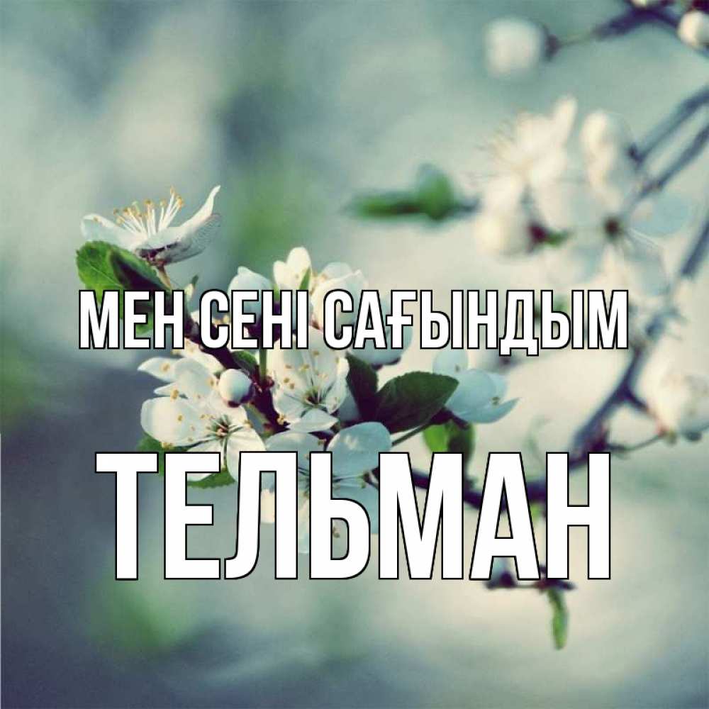 Күн сайын ашық хат с именем, Тельман Мен сені сағындым весна Онлайн тегін жүктеп алу тілектері бар керемет карта 