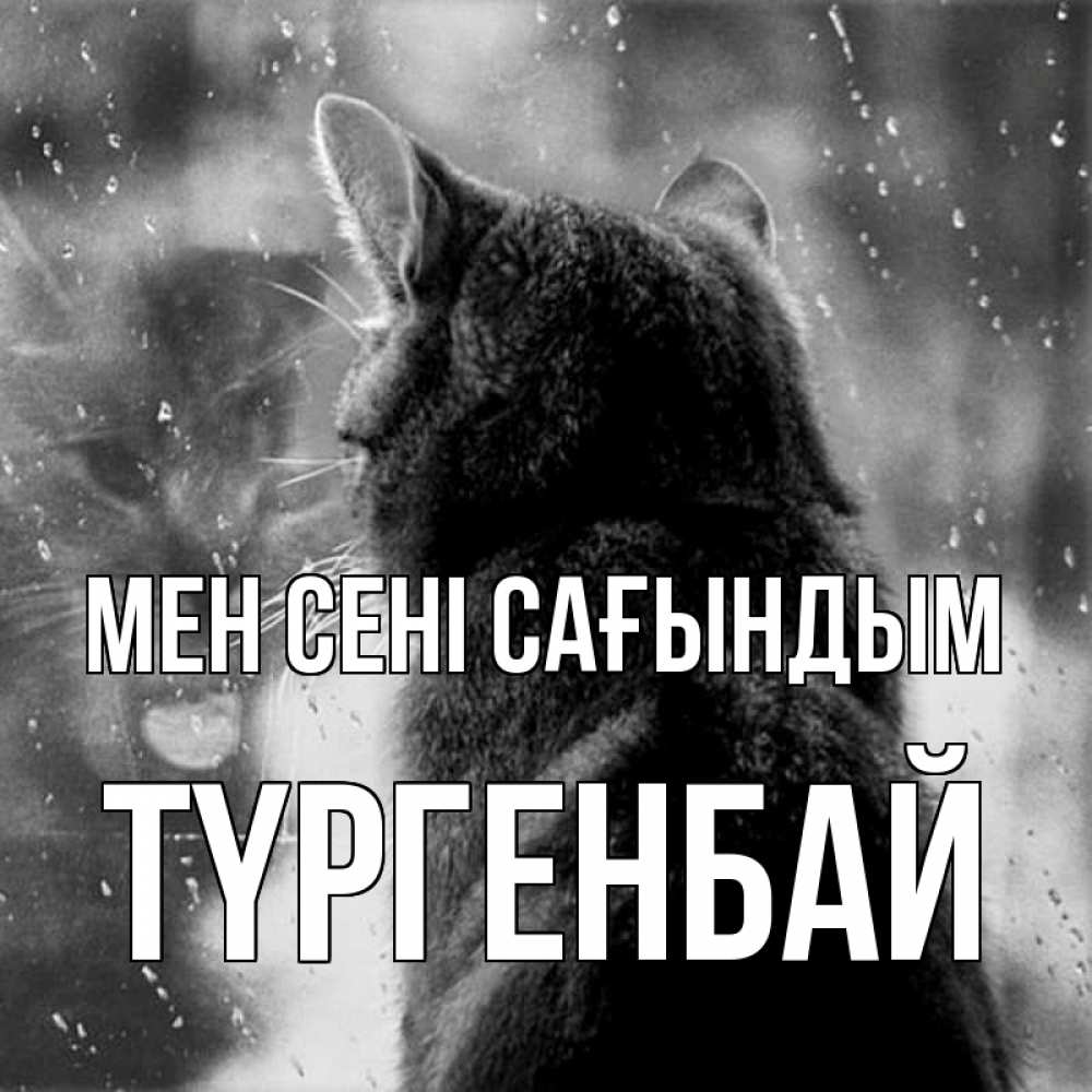 Күн сайын ашық хат с именем, ТҮРГЕНБАЙ Мен сені сағындым скорее ко мне приходи 1 Онлайн тегін жүктеп алу тілектері бар керемет карта 