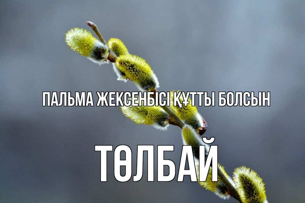 Күн сайын ашық хат с именем, ТӨЛБАЙ Пальма жексенбісі құтты болсын верба Онлайн тегін жүктеп алу тілектері бар керемет карта 