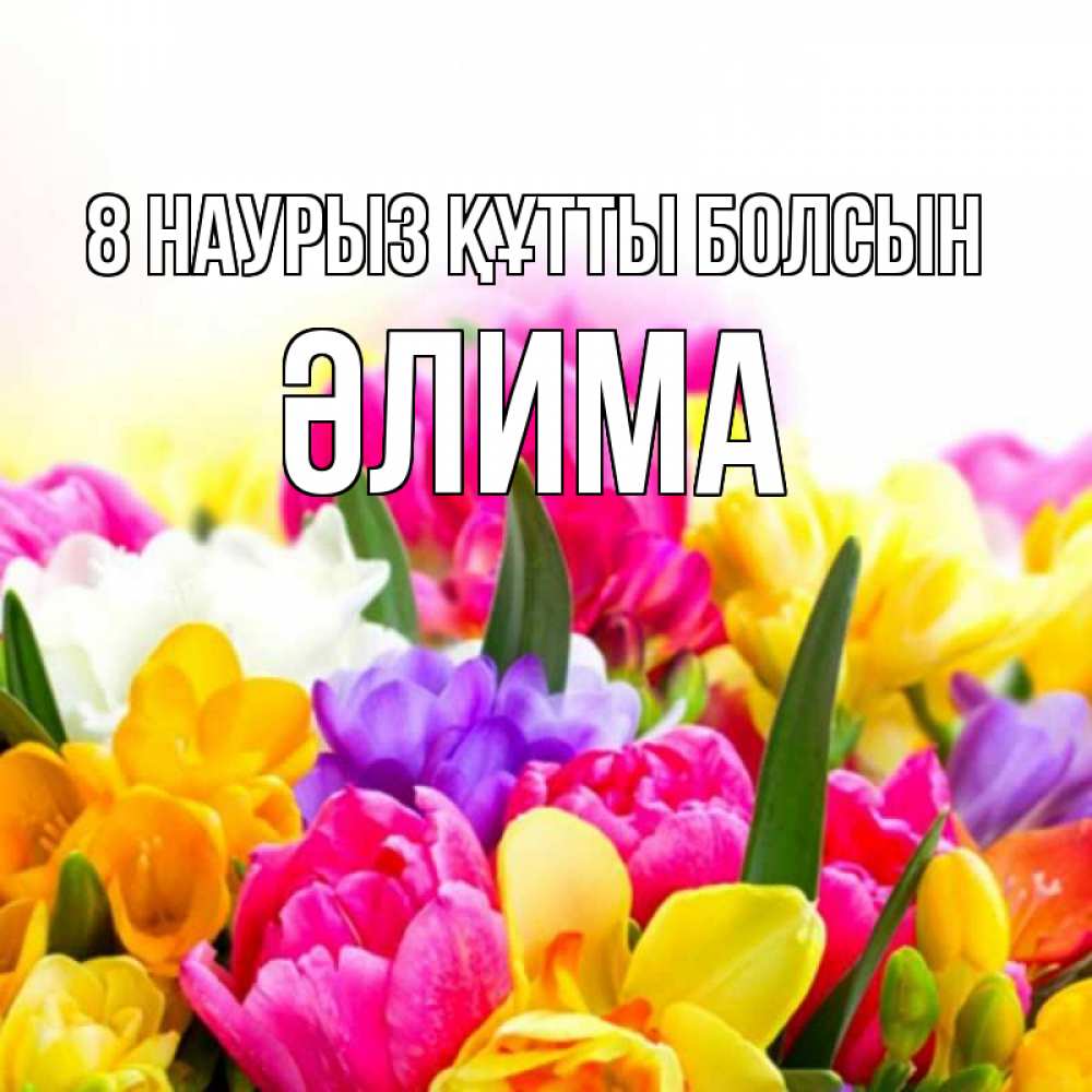 Күн сайын ашық хат с именем, ӘЛИМА 8 наурыз құтты болсын тюльпаны Онлайн тегін жүктеп алу тілектері бар керемет карта 