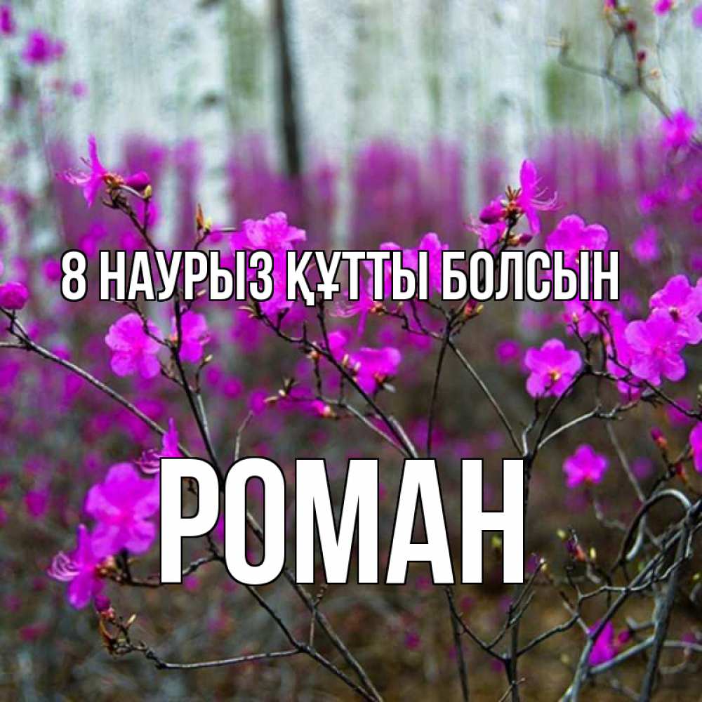 Күн сайын ашық хат с именем, Роман 8 наурыз құтты болсын дикие цветы Онлайн тегін жүктеп алу тілектері бар керемет карта 