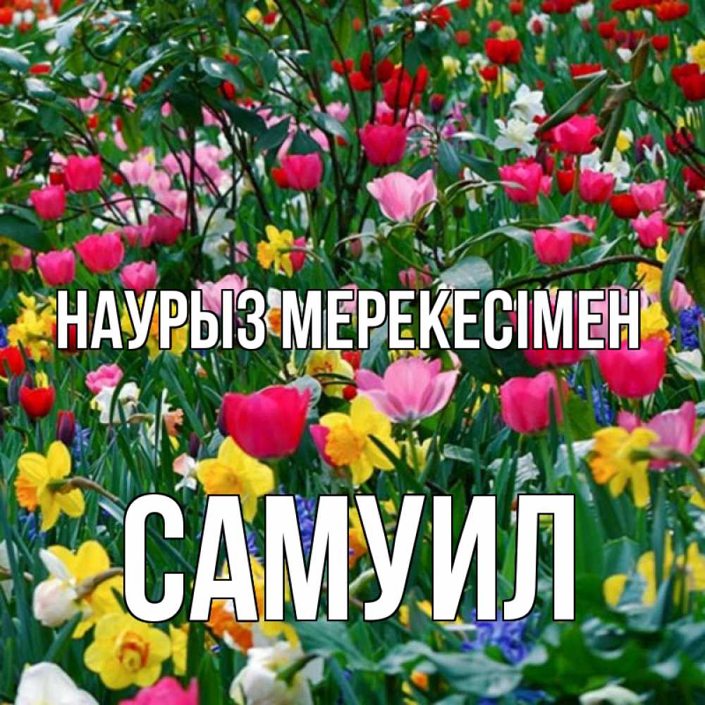 Күн сайын ашық хат с именем, Самуил Наурыз мерекесімен с наурызом праздником весны поздравления для женщины Онлайн тегін жүктеп алу тілектері бар керемет карта 