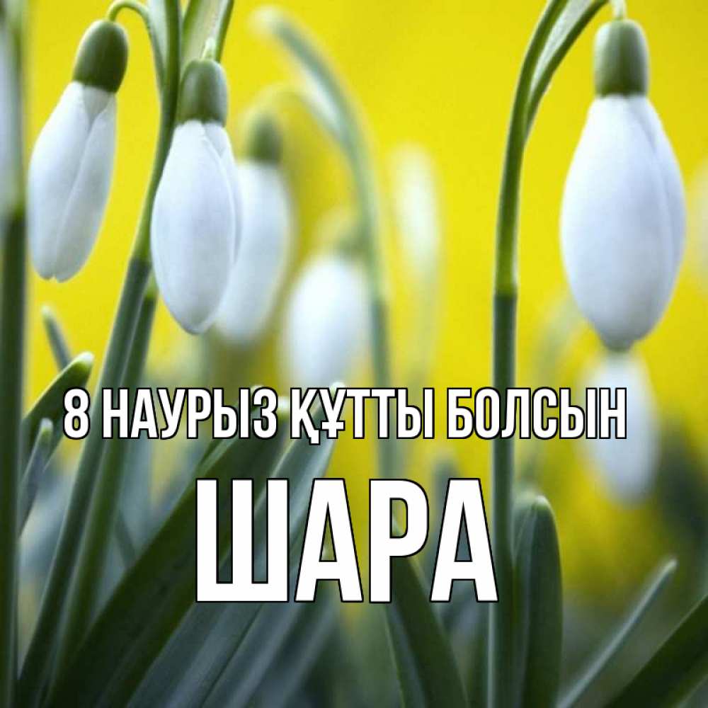 Күн сайын ашық хат с именем, ШАРА 8 наурыз құтты болсын весенние цветы Онлайн тегін жүктеп алу тілектері бар керемет карта 