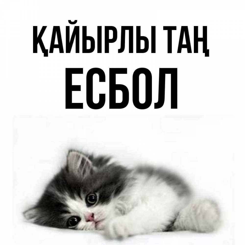 Күн сайын ашық хат с именем, Есбол Қайырлы таң кот лапки Онлайн тегін жүктеп алу тілектері бар керемет карта 