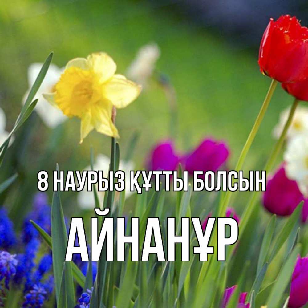 Күн сайын ашық хат с именем, Айнанұр 8 наурыз құтты болсын международный женский день 3 Онлайн тегін жүктеп алу тілектері бар керемет карта 