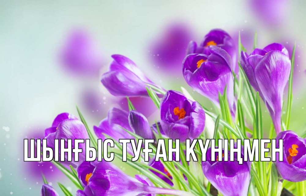 Картинка  с именем , ШЫНҒЫС! ТУҒАН КҮНІҢМЕН!