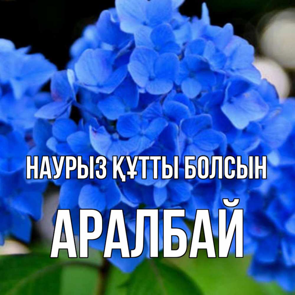 Күн сайын ашық хат с именем, Аралбай Наурыз құтты болсын синие цветы Онлайн тегін жүктеп алу тілектері бар керемет карта 
