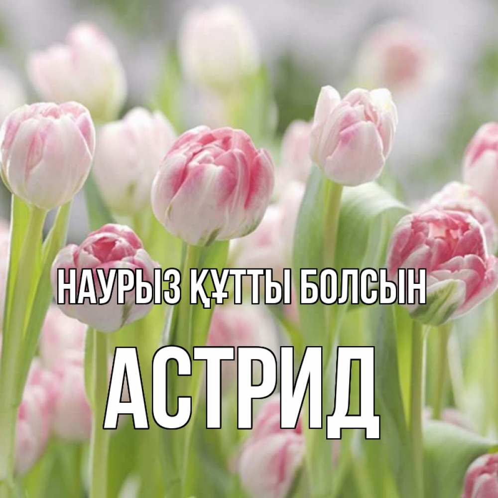 Күн сайын ашық хат с именем, Астрид Наурыз құтты болсын цветы Онлайн тегін жүктеп алу тілектері бар керемет карта 