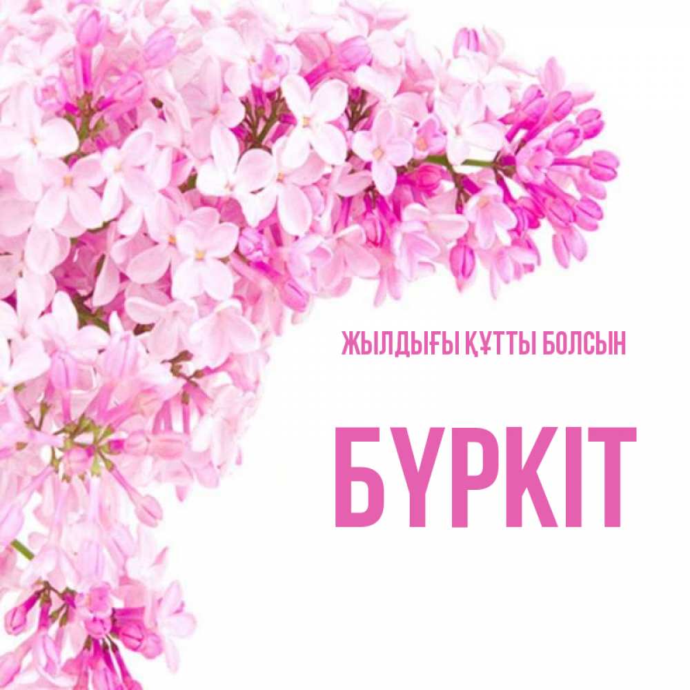 Күн сайын ашық хат с именем, Бүркіт Жылдығы құтты болсын Сирень на белом фоне Онлайн тегін жүктеп алу тілектері бар керемет карта 