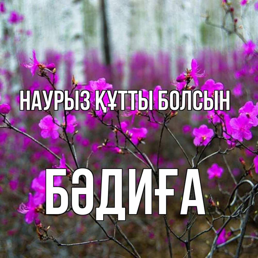 Күн сайын ашық хат с именем, БӘДИҒА Наурыз құтты болсын дикие цветы Онлайн тегін жүктеп алу тілектері бар керемет карта 