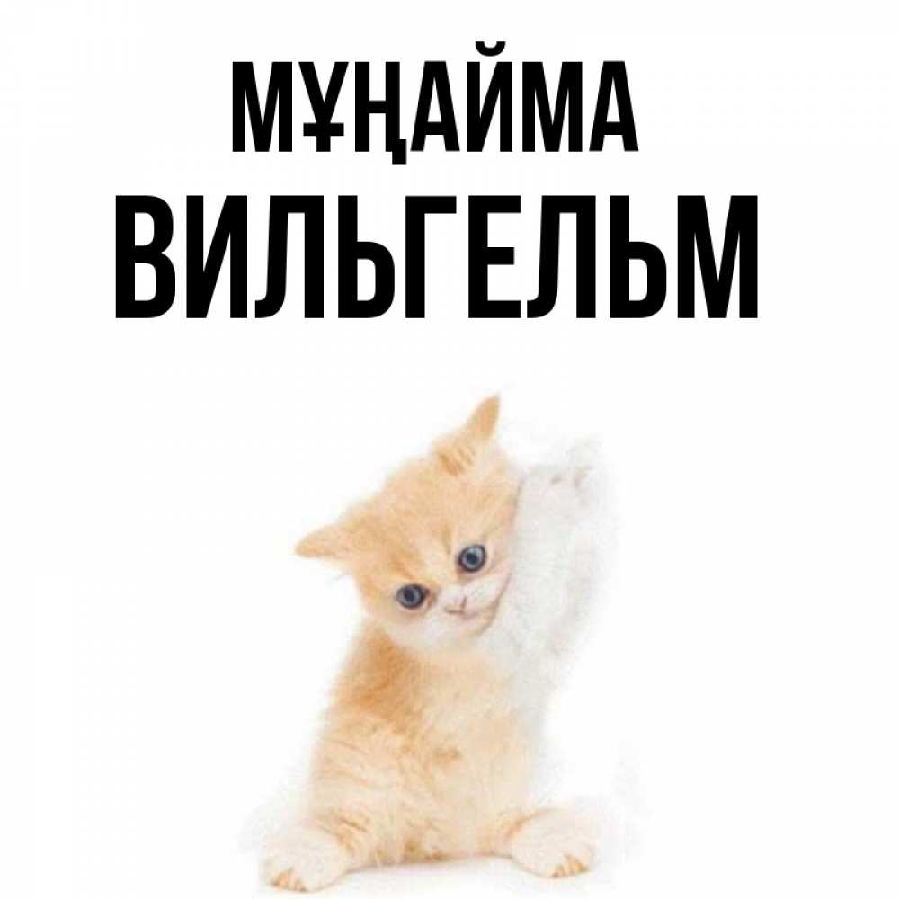 Күн сайын ашық хат с именем, Вильгельм Мұңайма просящий кот Онлайн тегін жүктеп алу тілектері бар керемет карта 