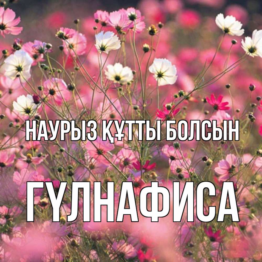 Күн сайын ашық хат с именем, ГҮЛНАФИСА Наурыз құтты болсын красиво 1 Онлайн тегін жүктеп алу тілектері бар керемет карта 