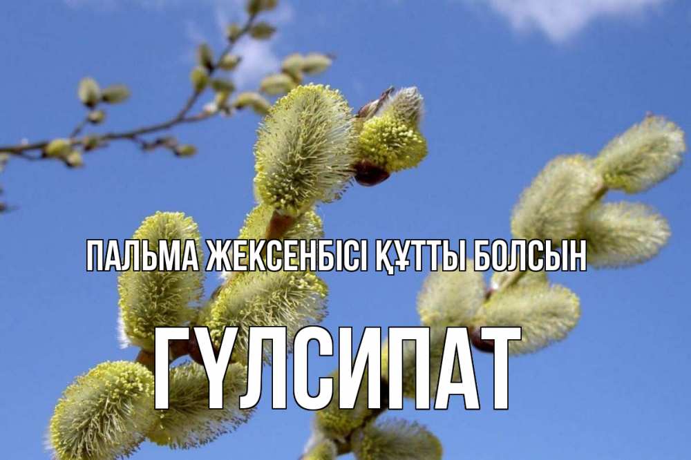 Күн сайын ашық хат с именем, ГҮЛСИПАТ Пальма жексенбісі құтты болсын верба Онлайн тегін жүктеп алу тілектері бар керемет карта 