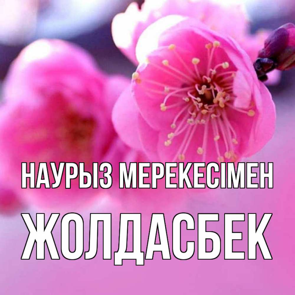 Күн сайын ашық хат с именем, Жолдасбек Наурыз мерекесімен международный женский день Онлайн тегін жүктеп алу тілектері бар керемет карта 